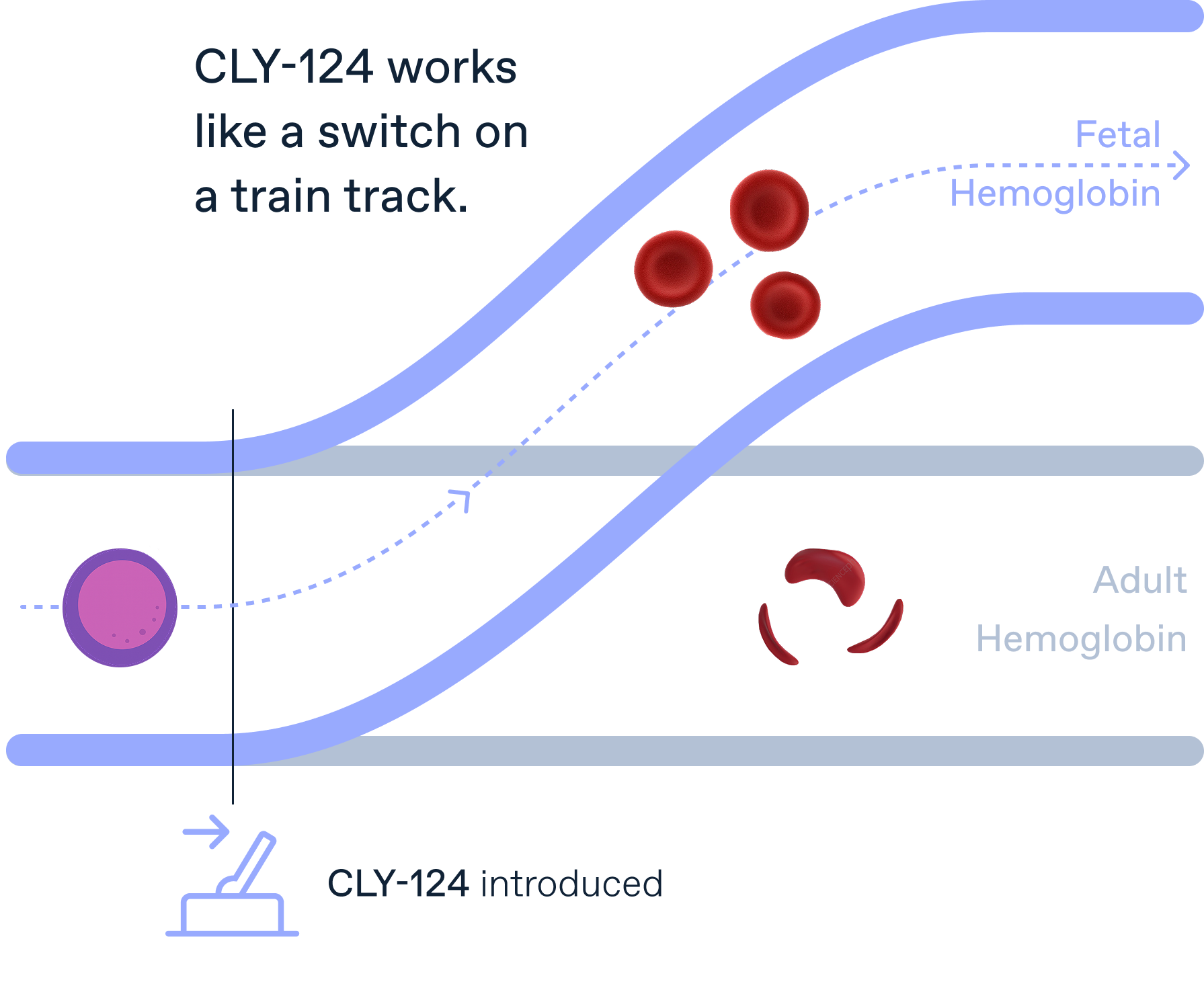 Cellarity CLY-124 Train Graphic-b